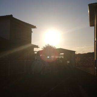 箸休めpart…？