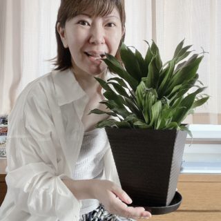 グリーングリーン！ボタニカルグリーン！
