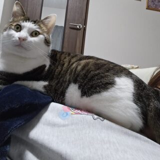 今年寒すぎるマン