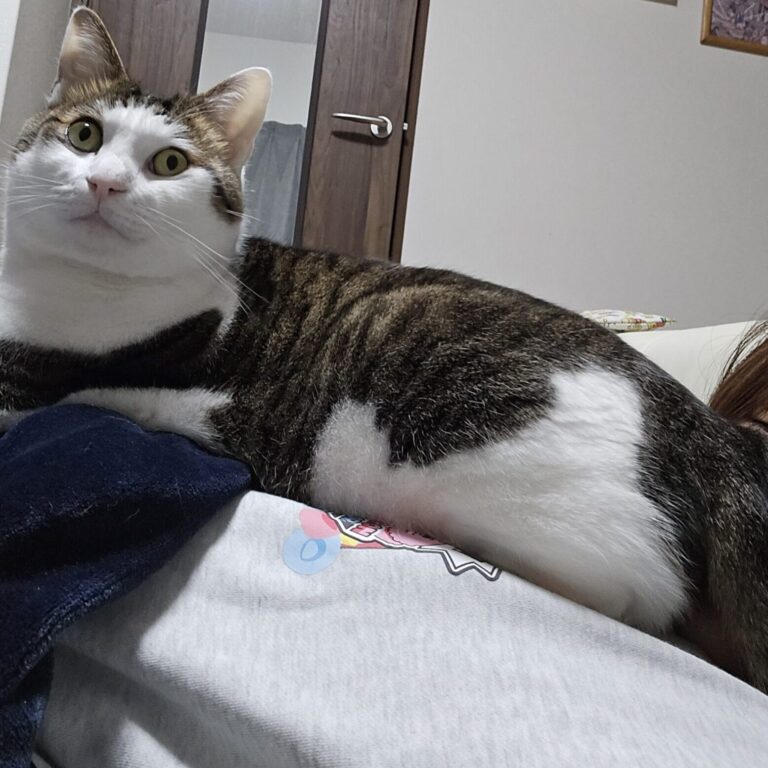 今年寒すぎるマン